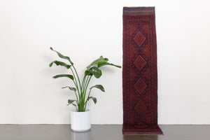 2x8.5 Tajik Runner | TAROON