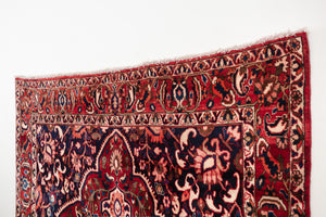 7x11 Persian Bakhtiari Rug | ANOUSH