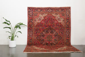 7.5x10.5 Persian Heriz Rug | ZAND
