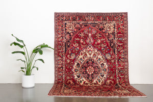 7x11 Persian Bakhtiari Rug | IDIN