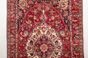 7x11 Persian Bakhtiari Rug | IDIN