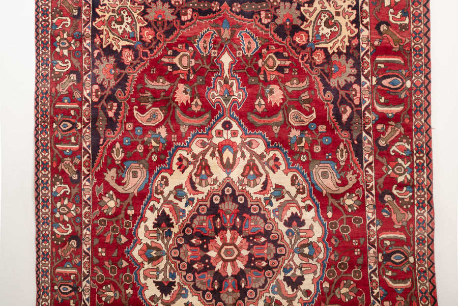 7x11 Persian Bakhtiari Rug | IDIN