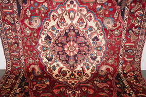 7x11 Persian Bakhtiari Rug | IDIN