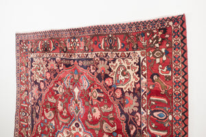 7x11 Persian Bakhtiari Rug | IDIN