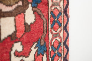 7x11 Persian Bakhtiari Rug | IDIN