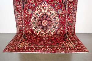 7x11 Persian Bakhtiari Rug | IDIN