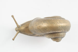 Brass Snail