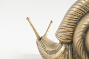Brass Snail