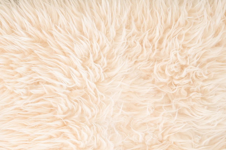 Sheepskin Rug