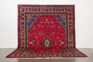 8.5x11.5 Persian Rug | AMJAD