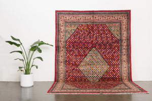 7x10 Persian Sarouk Rug | ABBAS