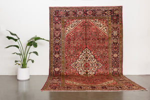 7x11 Persian Rug | AMIR