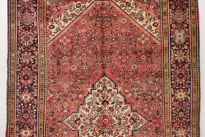 7x11 Persian Rug | AMIR