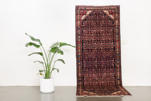 4x9.5 Persian Rug | ARZIN