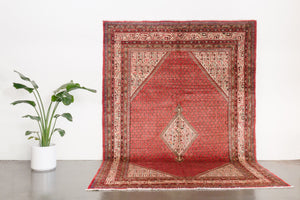 7x11 Persian Rug | AMID