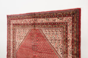 7x11 Persian Rug | AMID