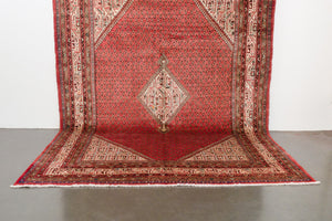 7x11 Persian Rug | AMID