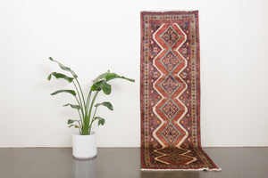 3x10 Persian Rug | AVGAN