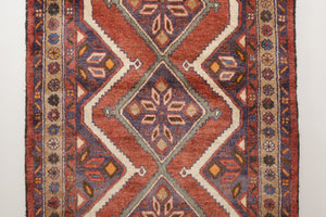 3x10 Persian Rug | AVGAN