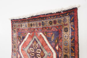 3x10 Persian Rug | AVGAN