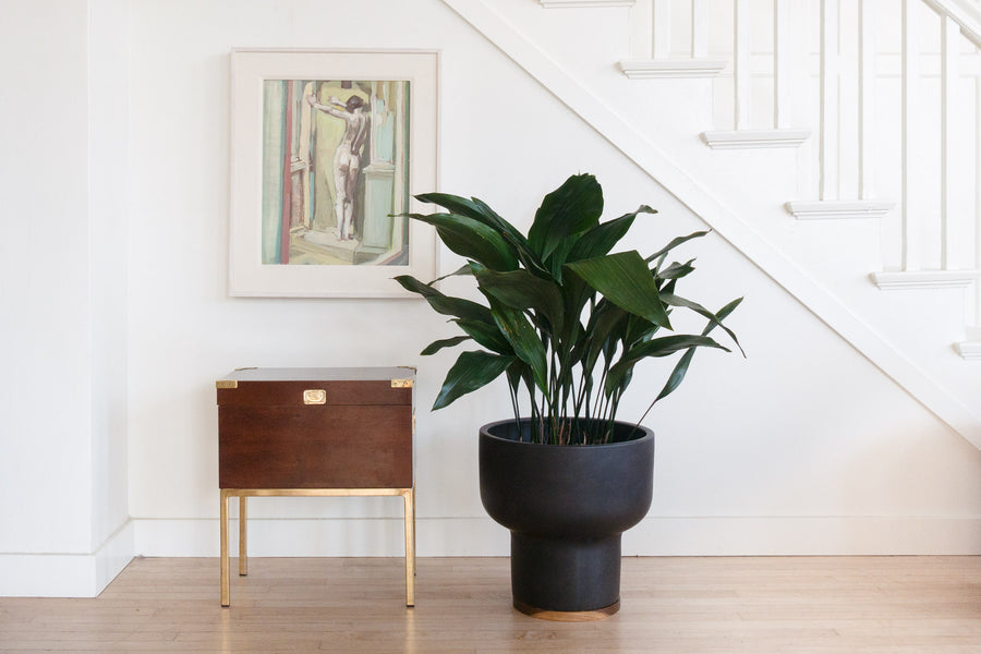 Lane Trunk Side Table