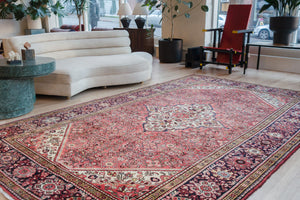 7x11 Persian Rug | AMIR