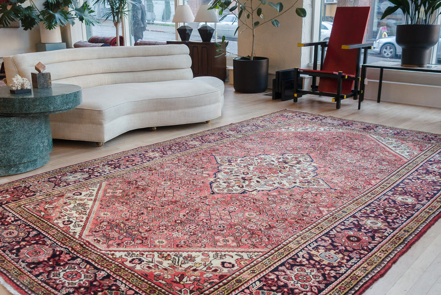7x11 Persian Rug | AMIR