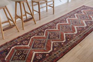 3x10 Persian Rug | AVGAN