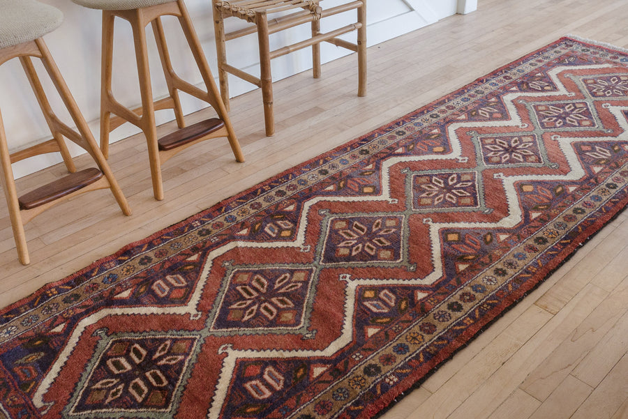 3x10 Persian Rug | AVGAN