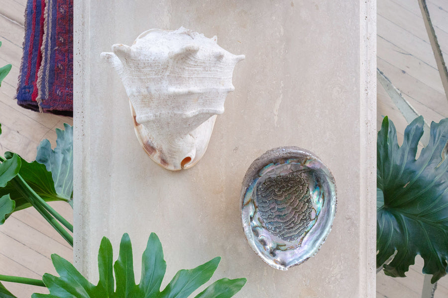 Abalone Shell Tray