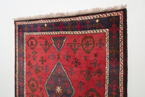 4.5x9.5 Persian Rug | BARZIN