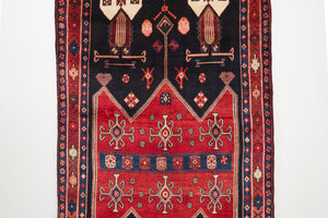 4.5x9 Persian Rug | BASHIR