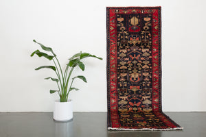 3.5x10 Persian Rug | BARID