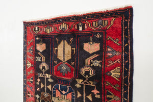 3.5x10 Persian Rug | BARID