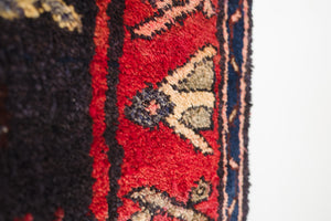 3.5x10 Persian Rug | BARID