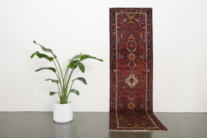 3x10 Persian Rug | BAZAN
