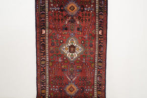 3x10 Persian Rug | BAZAN
