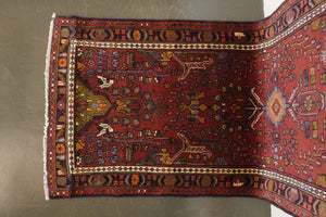 3x10 Persian Rug | BAZAN