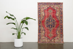4x6 Turkish Rug | FEROZE