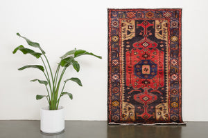 4x6 Persian Rug | BARMAN