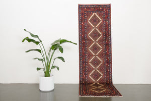 3x9 Persian Rug | BAZYAR