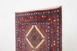 3x9 Persian Rug | BAZYAR