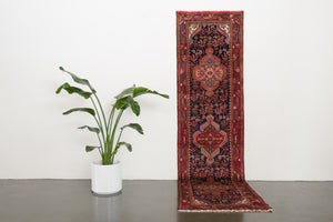 3x10 Persian Rug | BAVAR