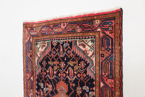 3x10 Persian Rug | BAVAR