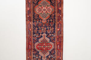 3x10 Persian Rug | BAVAR