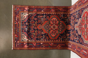 3x10 Persian Rug | BAVAR