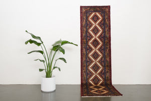 3x9 Persian Rug | BEHDAD