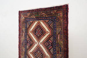 3x9 Persian Rug | BEHDAD