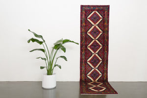 2.5x9.5 Persian Rug | BARBOD