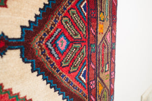 2.5x9.5 Persian Rug | BARBOD
